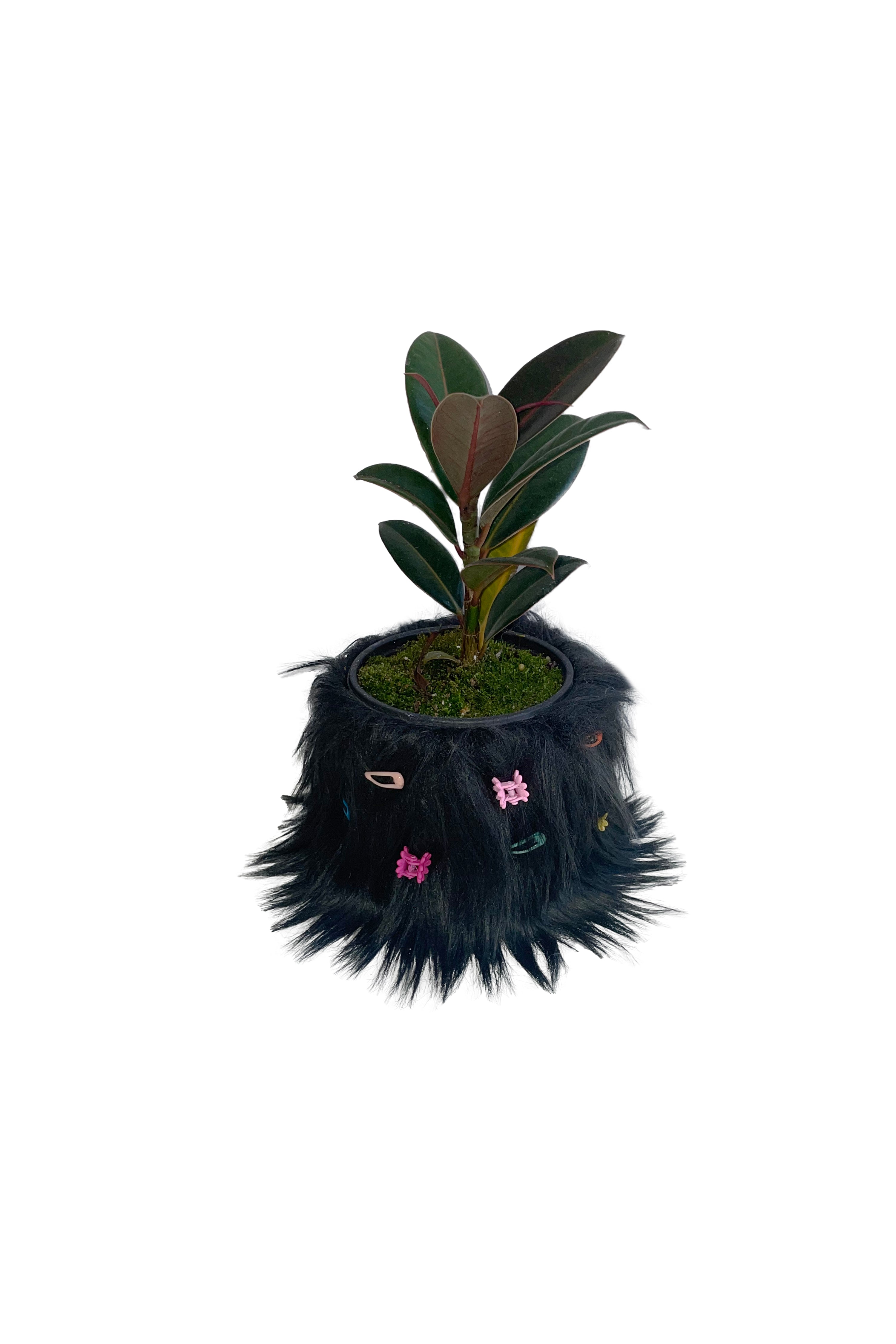 FURRY POT COVER (BLACK) + FURRY PIN SET