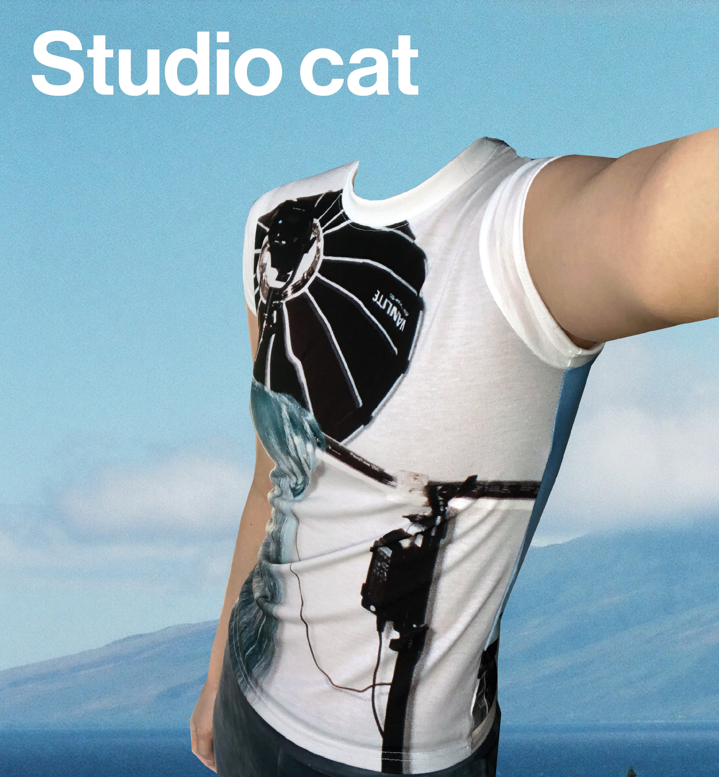 Studio cat