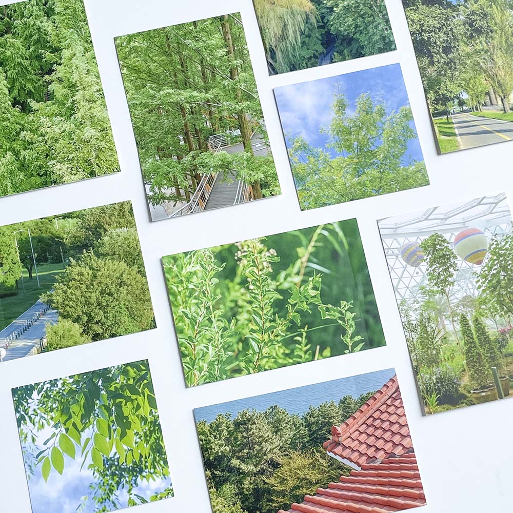 Forest Sticker Pack(10 sheets)