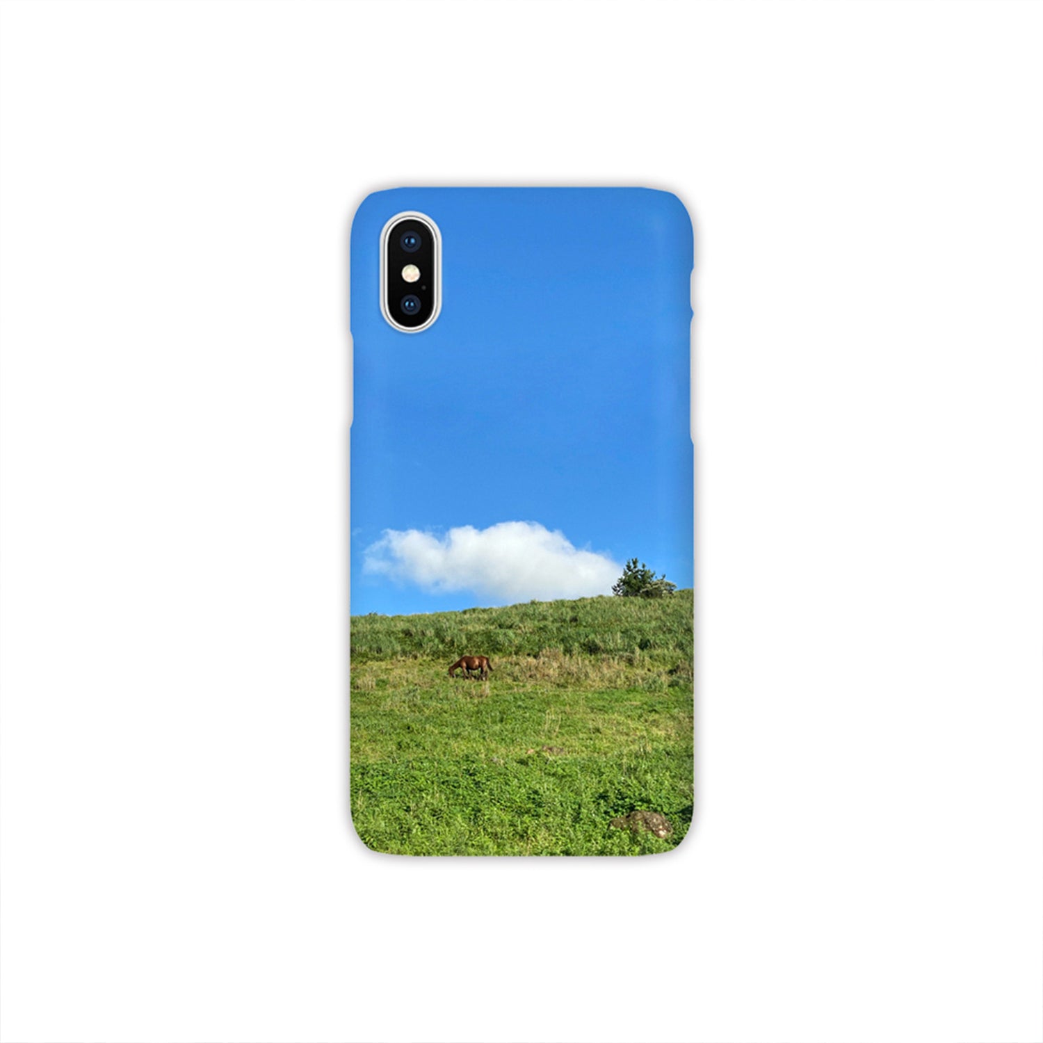 Hill hard case