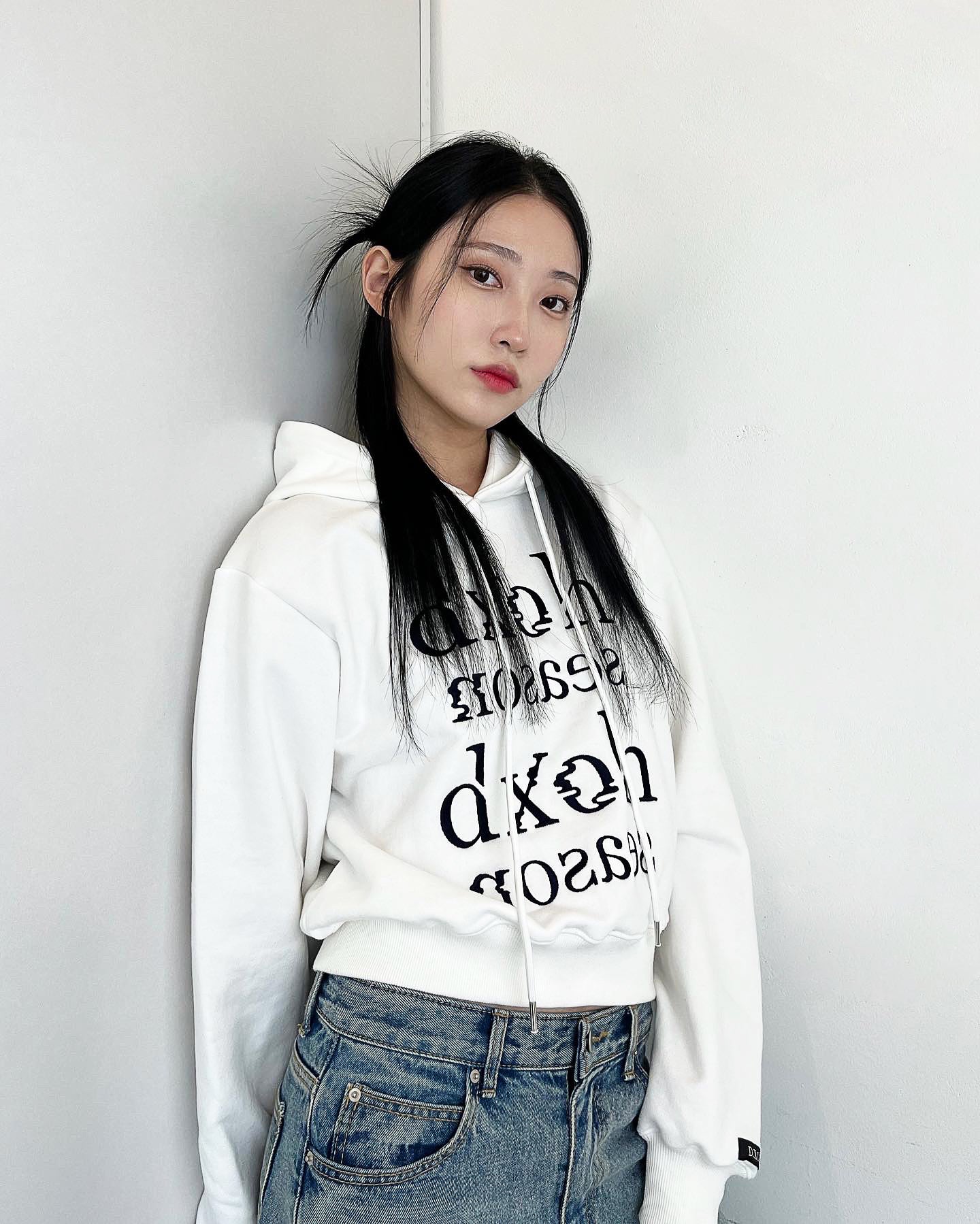 SEMI CROP SEASONS LOGO EMBROIDERY HOODIE