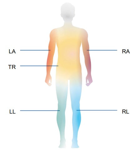 body-composition-analysis-segmental-analysis