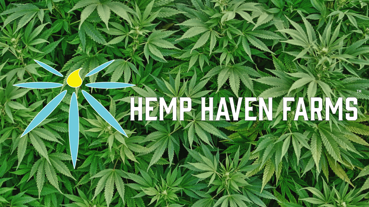 hemphavenfarms.com