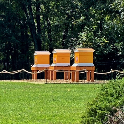 Beehives at Church & Dwight campus Princeton NJ