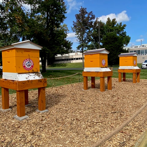 Beehives at Church & Dwight campus Princeton NJ