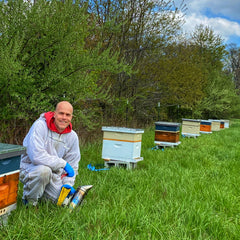 Mill Creek Apiary - hives in the field