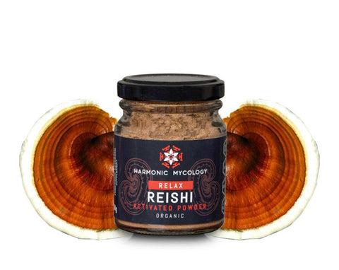 A close-up view of Reishi Mushroom powder, finely ground and earthy in color. The powder is placed in a small wooden spoon, ready to be added to a morning coffee or smoothie for enhancing cognitive health and brain function.