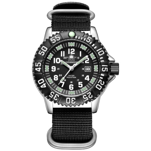 Stainless Steel Luminous Military Watch