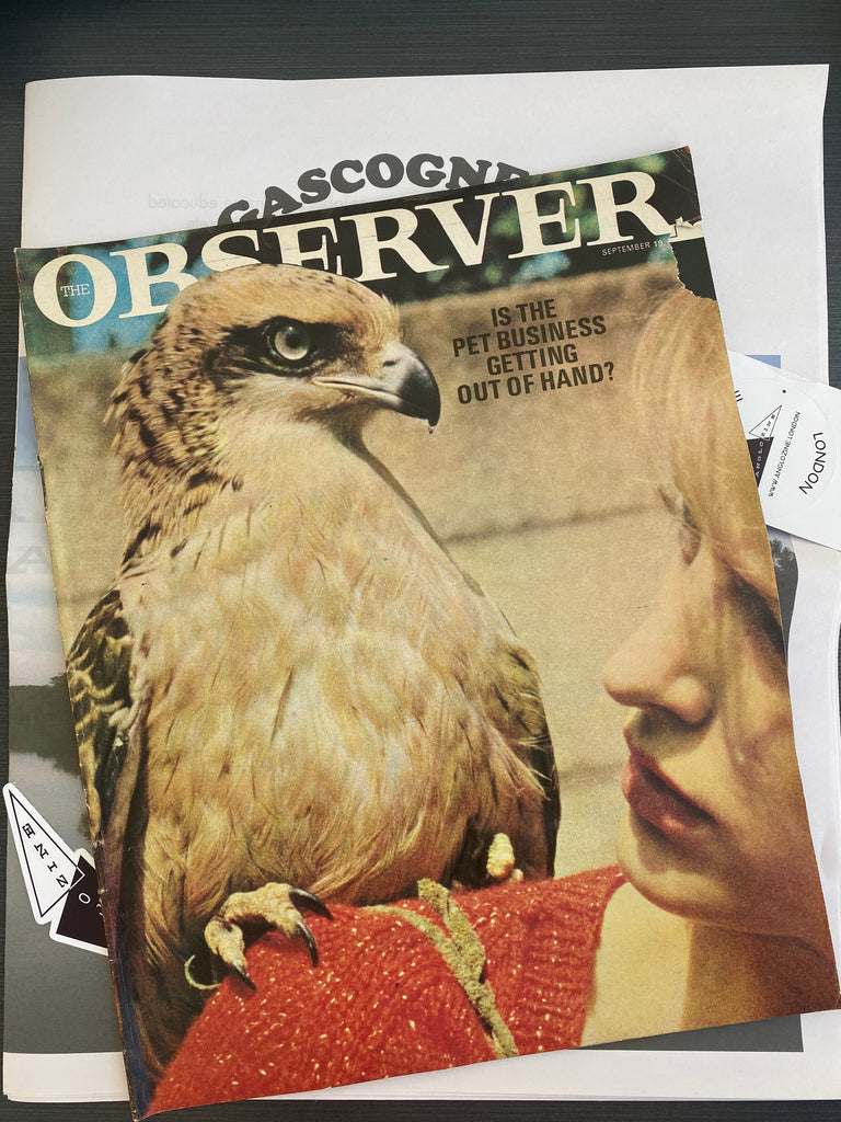 Anglozine The Observer Cover September 1965