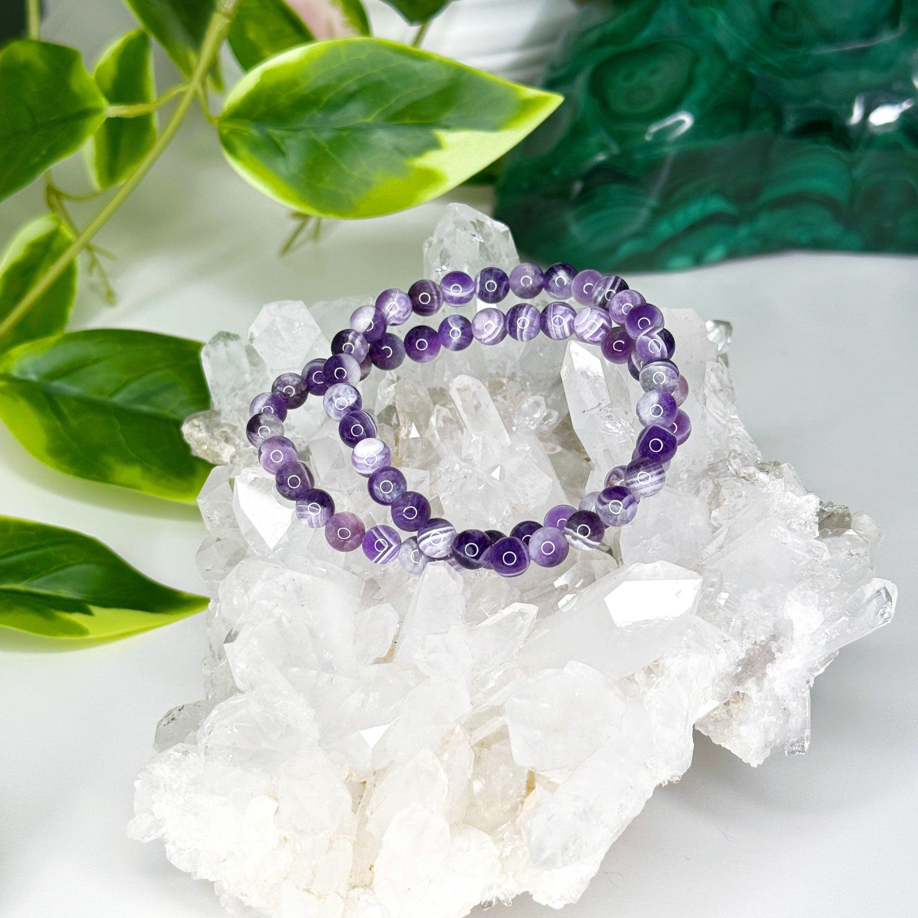 Omega Psi Phi Purple Tiger Eye stone bead bracelet – SANDZ