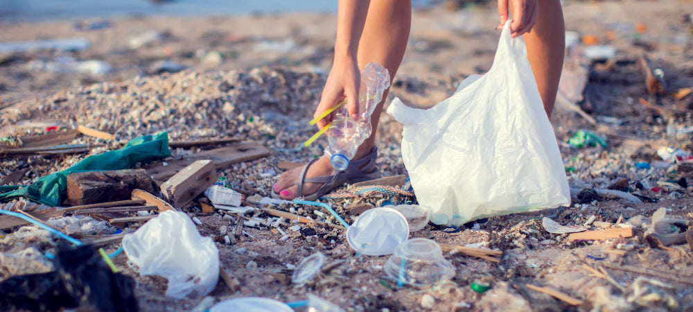 Plastic pollution found on beach