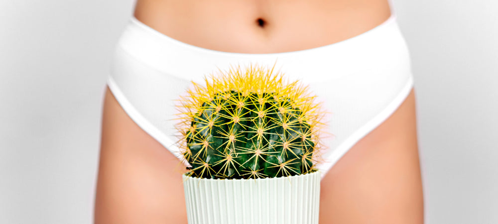 Woman holding a cactus in front of her bikini line - Shoreline Shaving