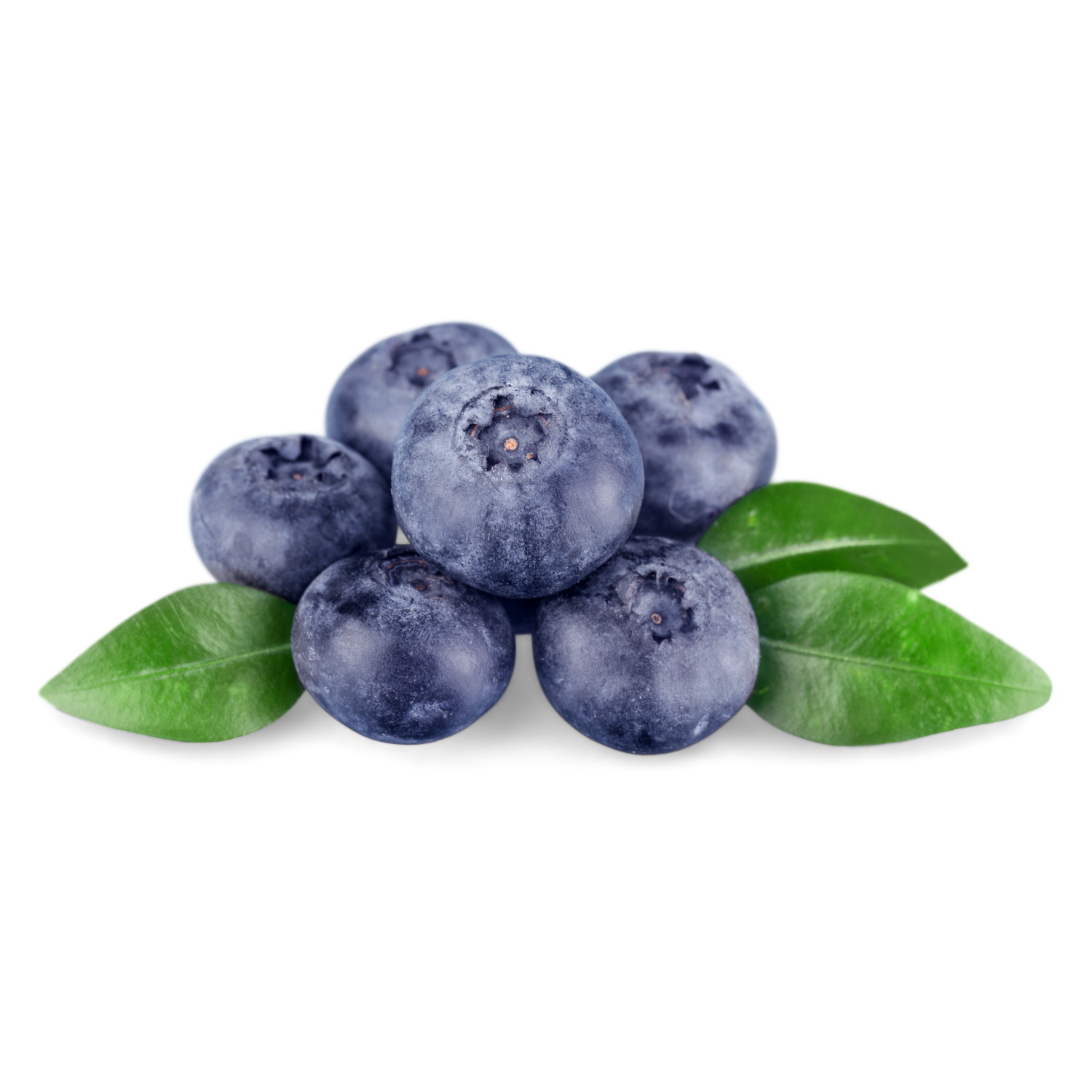 A group of fresh blueberries with green leaves on a white background.