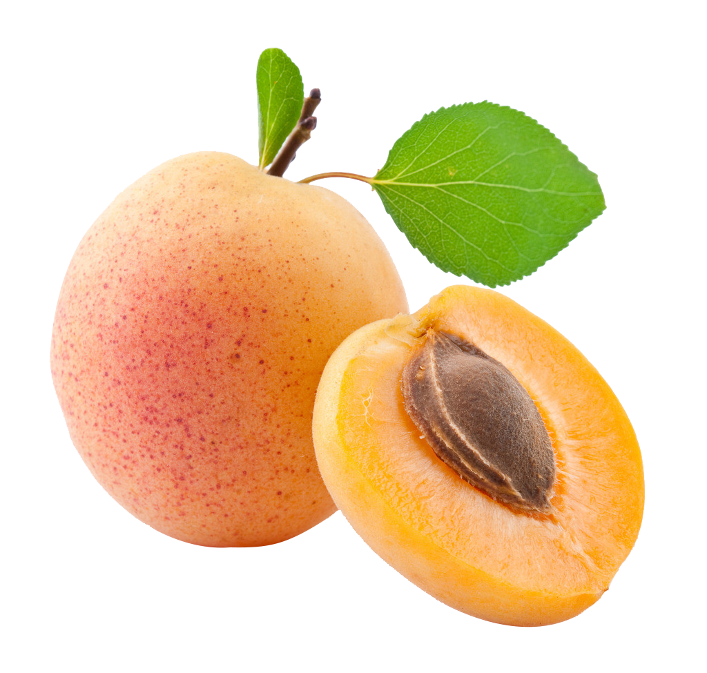 APRICOT KERNEL GRAINS :