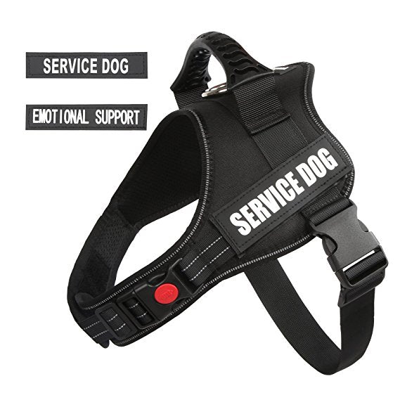 black service dog vest