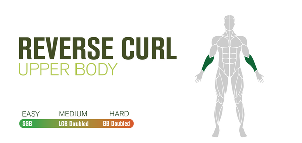 Resistance Band Arm Workouts for Both Men&Women Reverse Curl