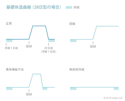 基礎体温の変化と女性ホルモン