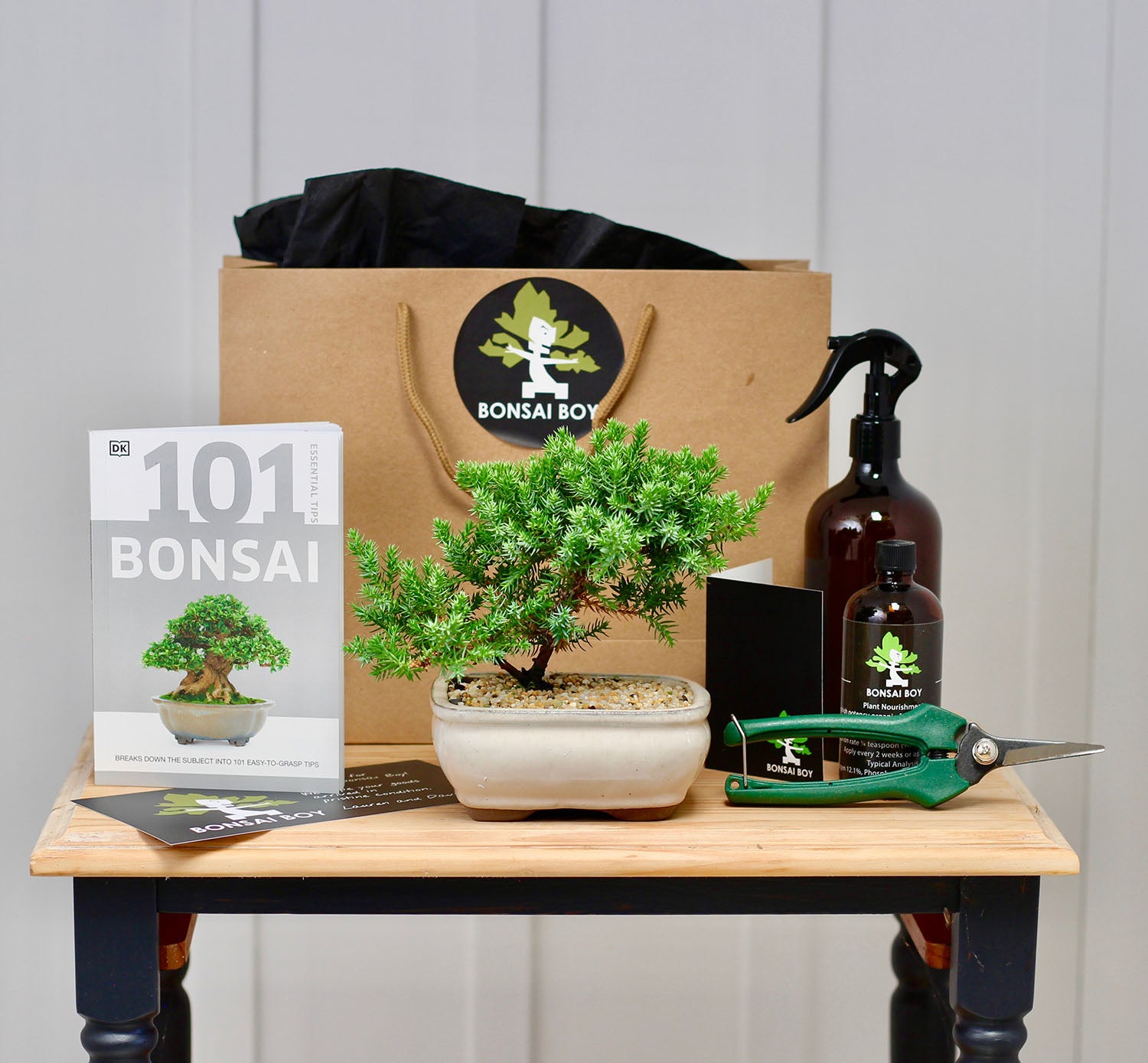 Bonsai Starter Kit - Jackson the Juniper