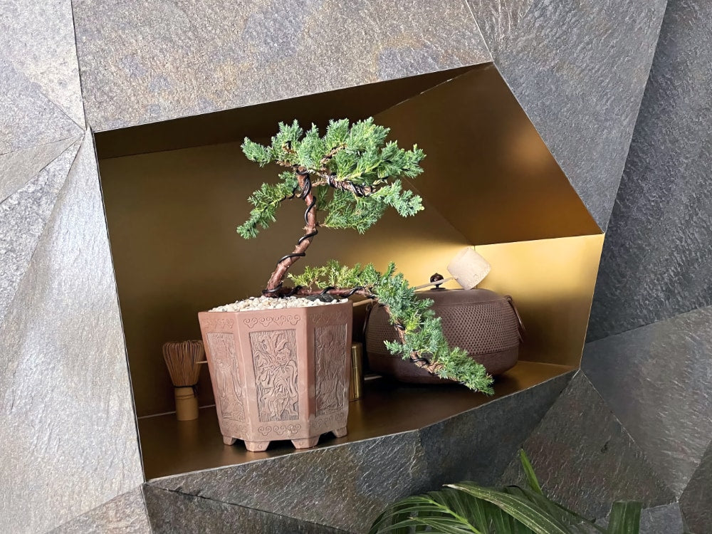 bonsai corporate rentals