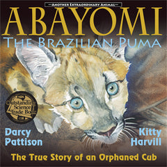 Abayomi cover
