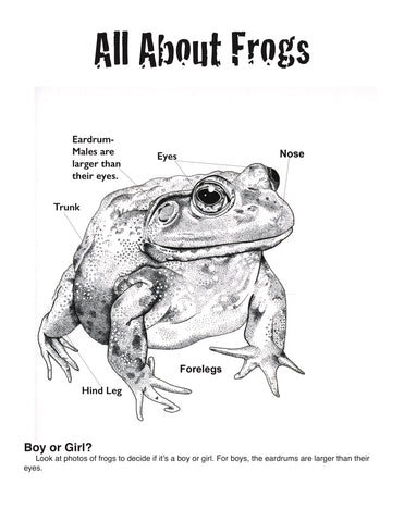 All About Frogs