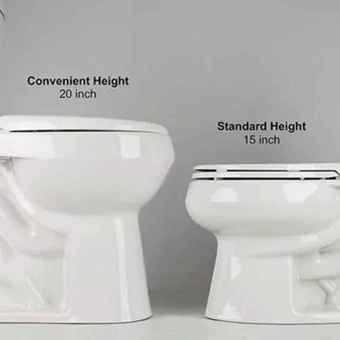 height of the toilet