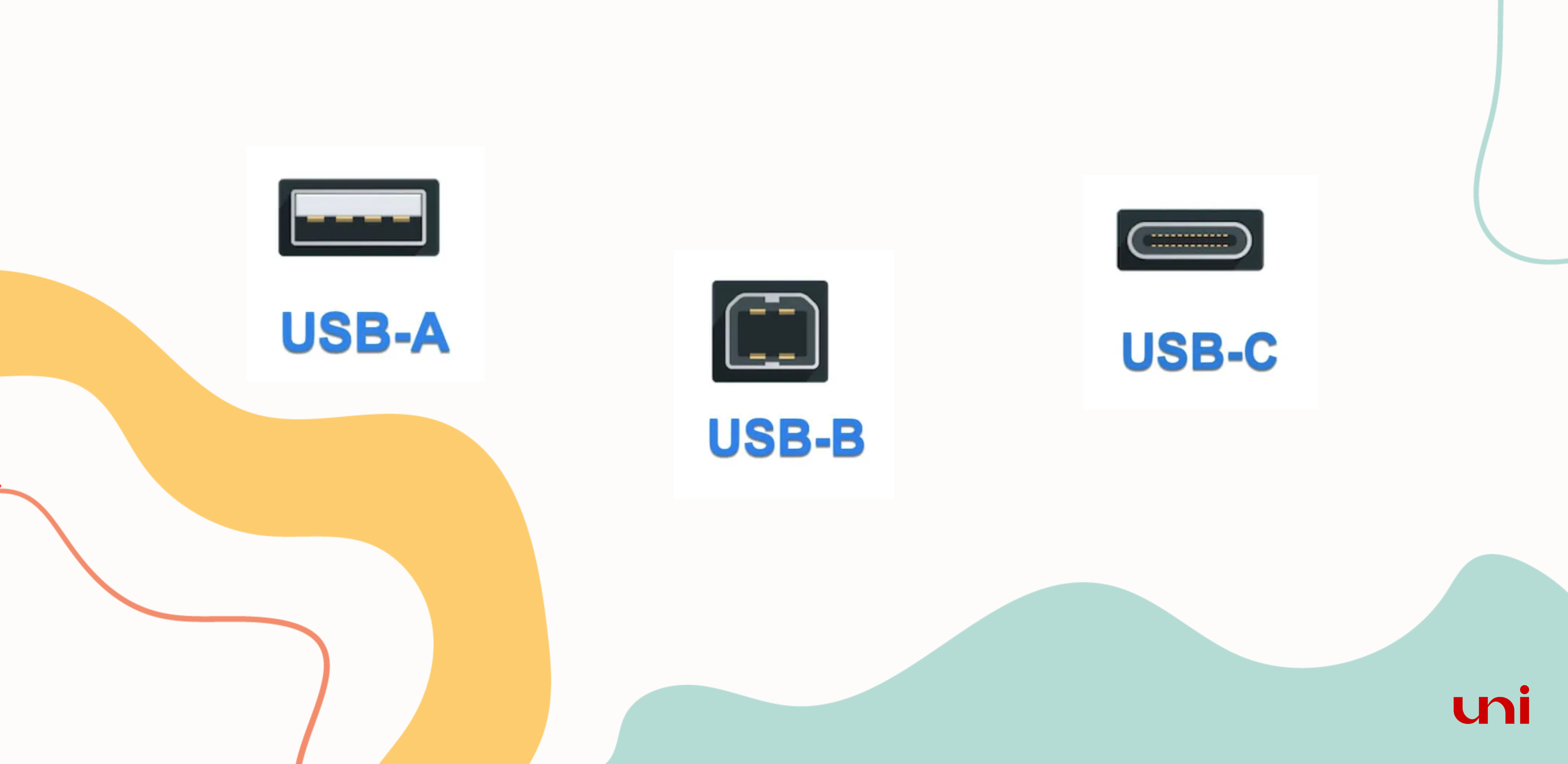 Thunderbolt3 vs USB 3.1 Gen2 Tipo C: Transmisión más rápida, mayor  productividad