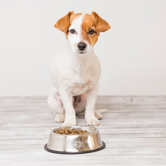 Delivery Hound Sydney-Grain Free Dog Food Delivered to Your Door!