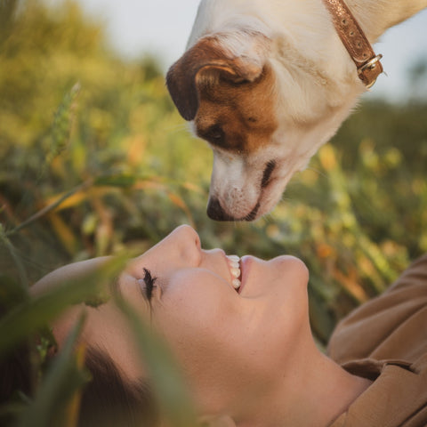 Unlocking the Well-Being Boost The Science of Pet Care