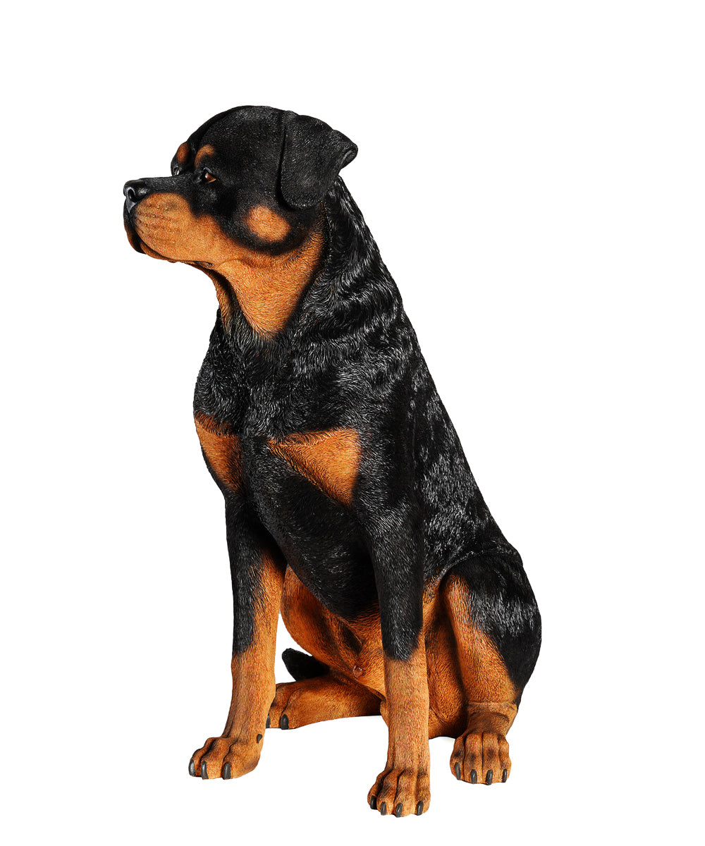 is the rottweiler legal in cayman islands