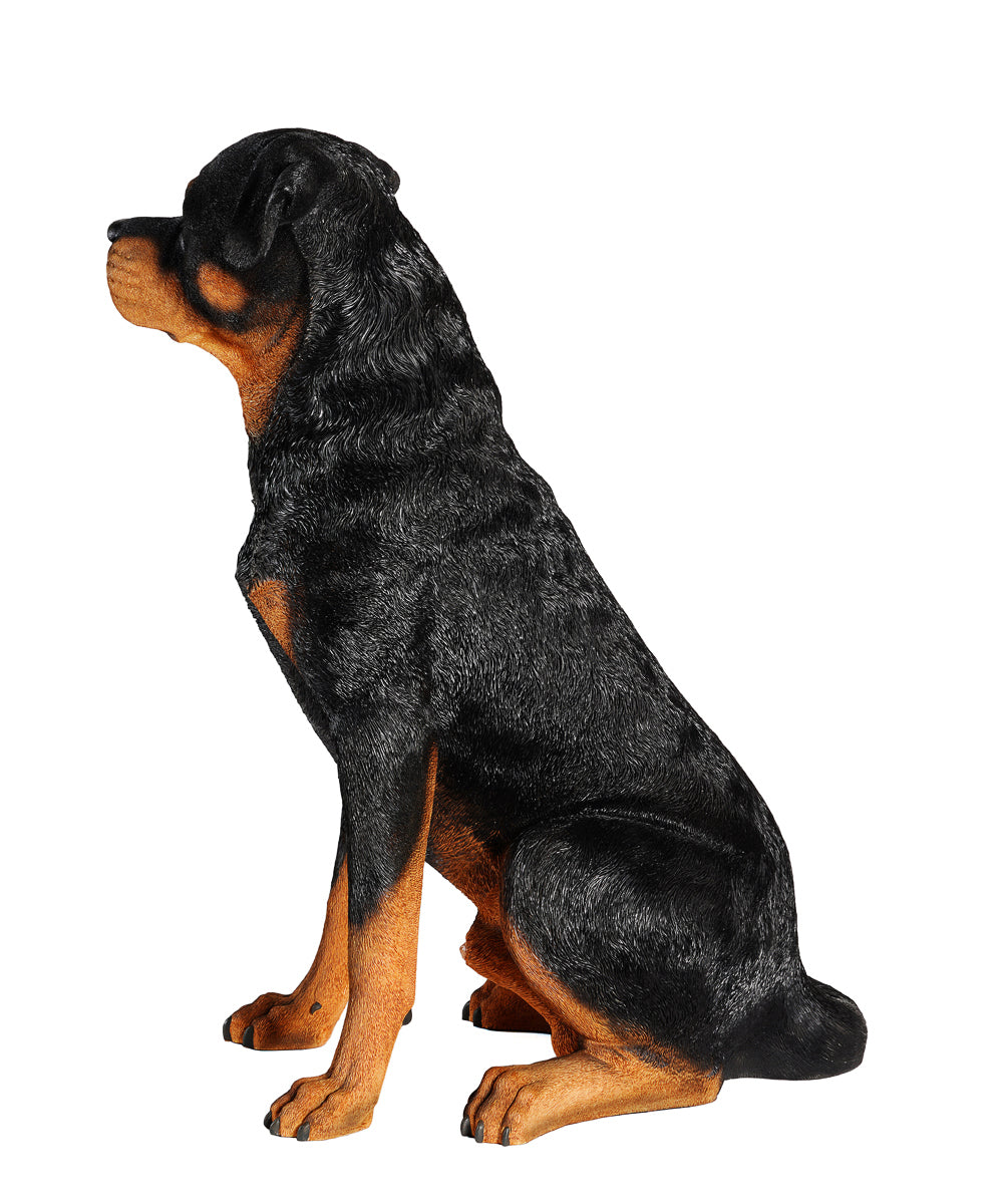 is the rottweiler legal in cayman islands