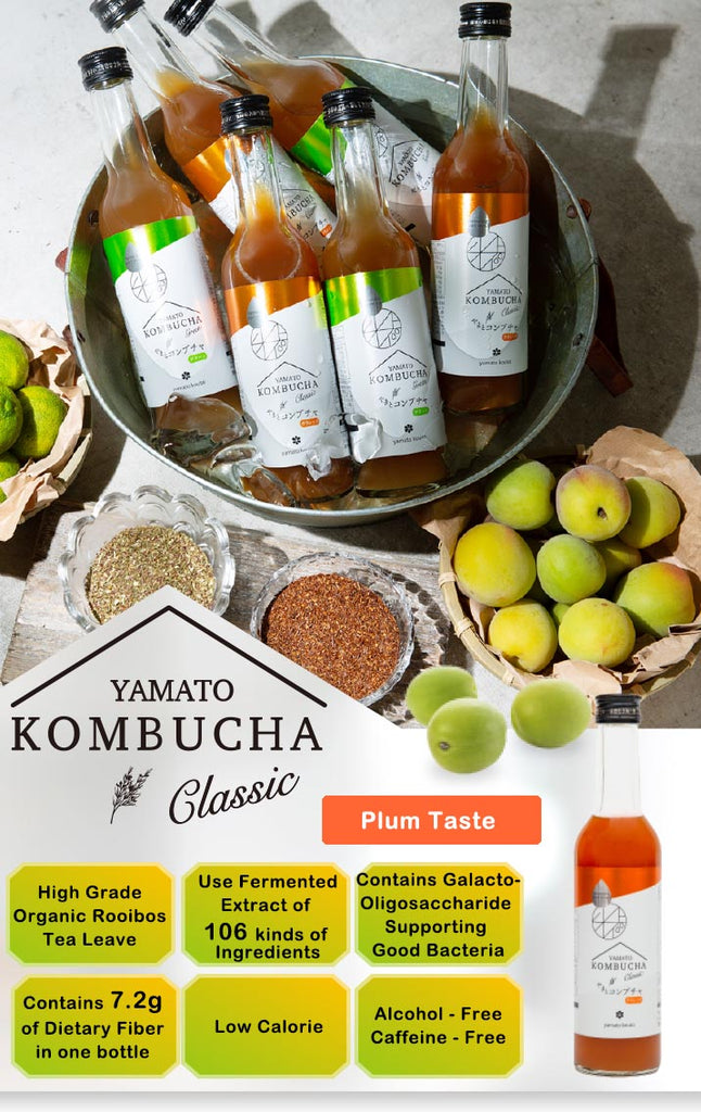 YAMATO KOMBUCHA - PLUM TASTE