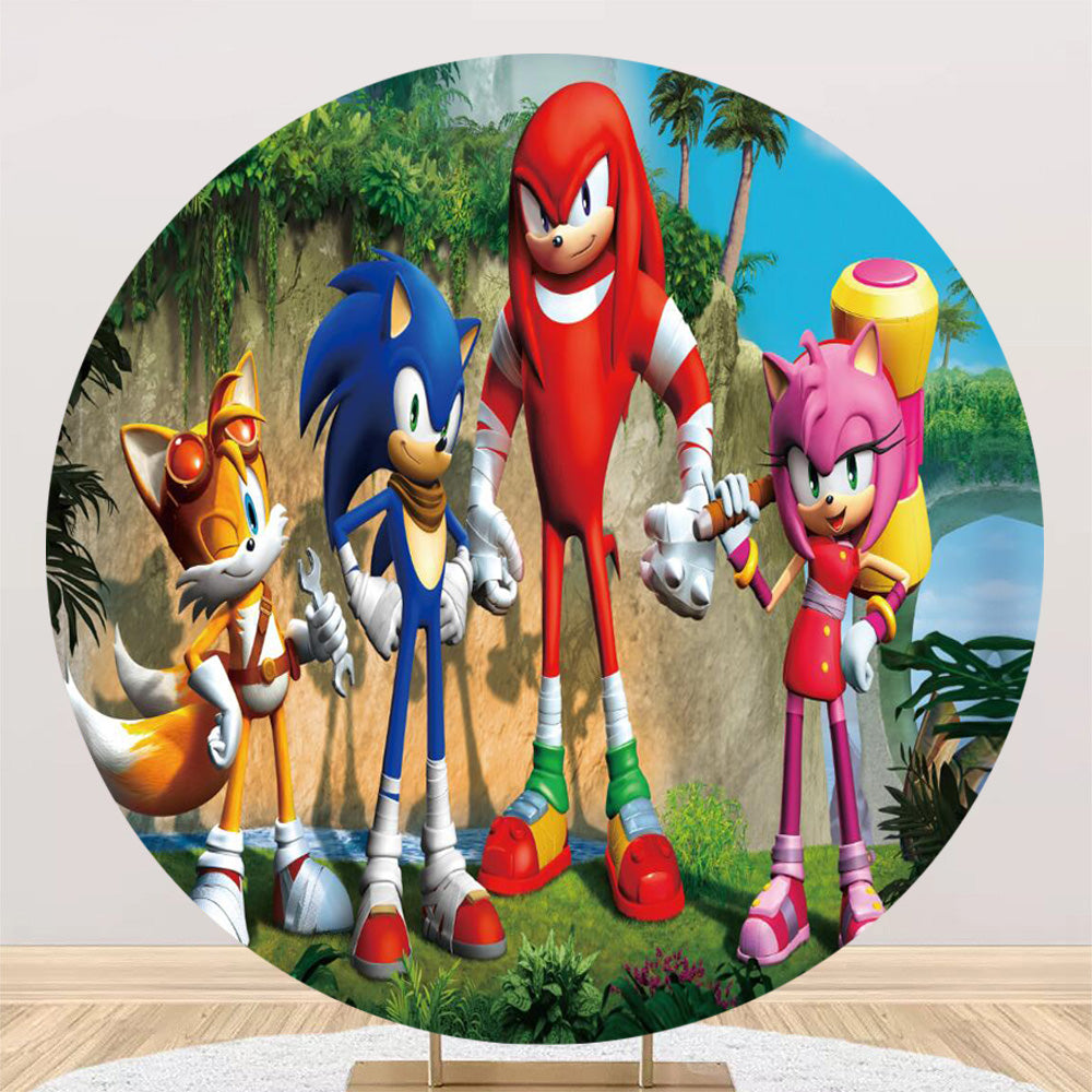 Sonic Hedgehog Round Backdrop Kids Birthday Party Circle Background Ta –  dreamybackdrop