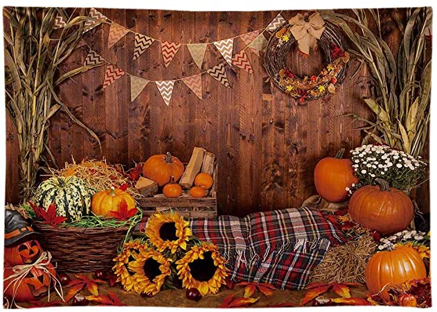 Thanksgiving Photography Backdrop Halloween Rustic Wooden Floor Barn H