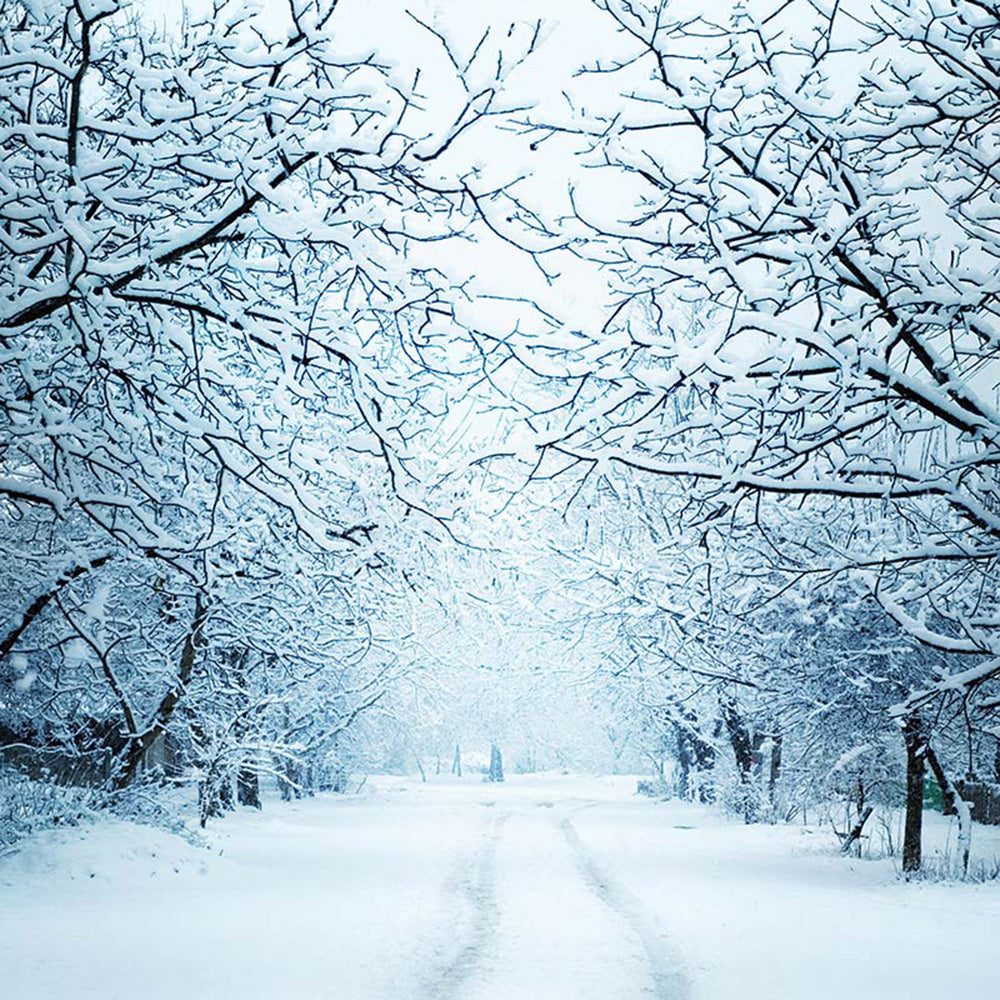photography backdrops forest -outdoor Snow backdrop - Snow Road ...