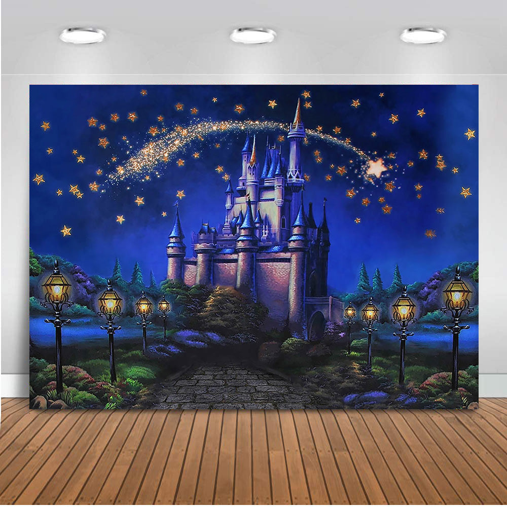 Castle Fairy Tale Princess Photography Backdrop Blue Starry Sky Newbor –  dreamybackdrop