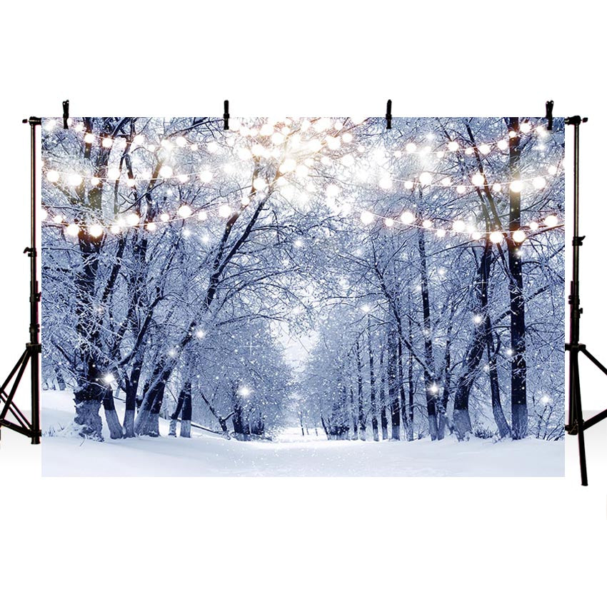 Winter Snow Photography Backdrops Christmas Background Backdrops Fores ...