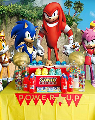 Sonic Hedgehog Themed Photo Background Baby Shower Photo Booth Studio