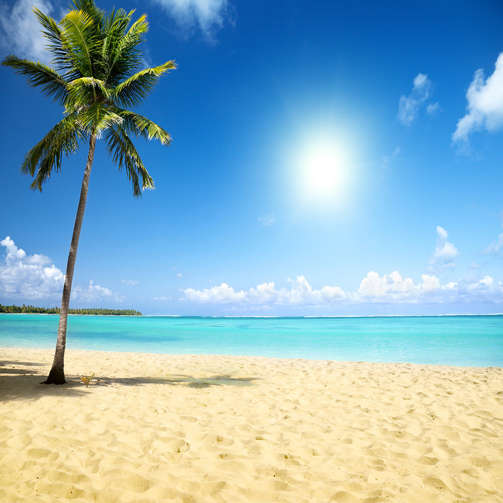 tropical beach photo backdrop sea beach scenery photography background ...