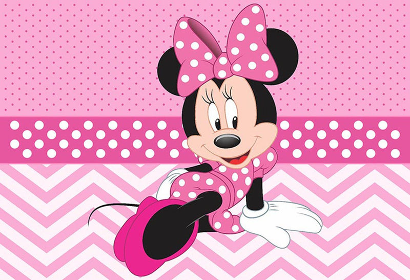 Child Photography Background Minnie Mouse Birthday Party Backdrop Pink –  dreamybackdrop