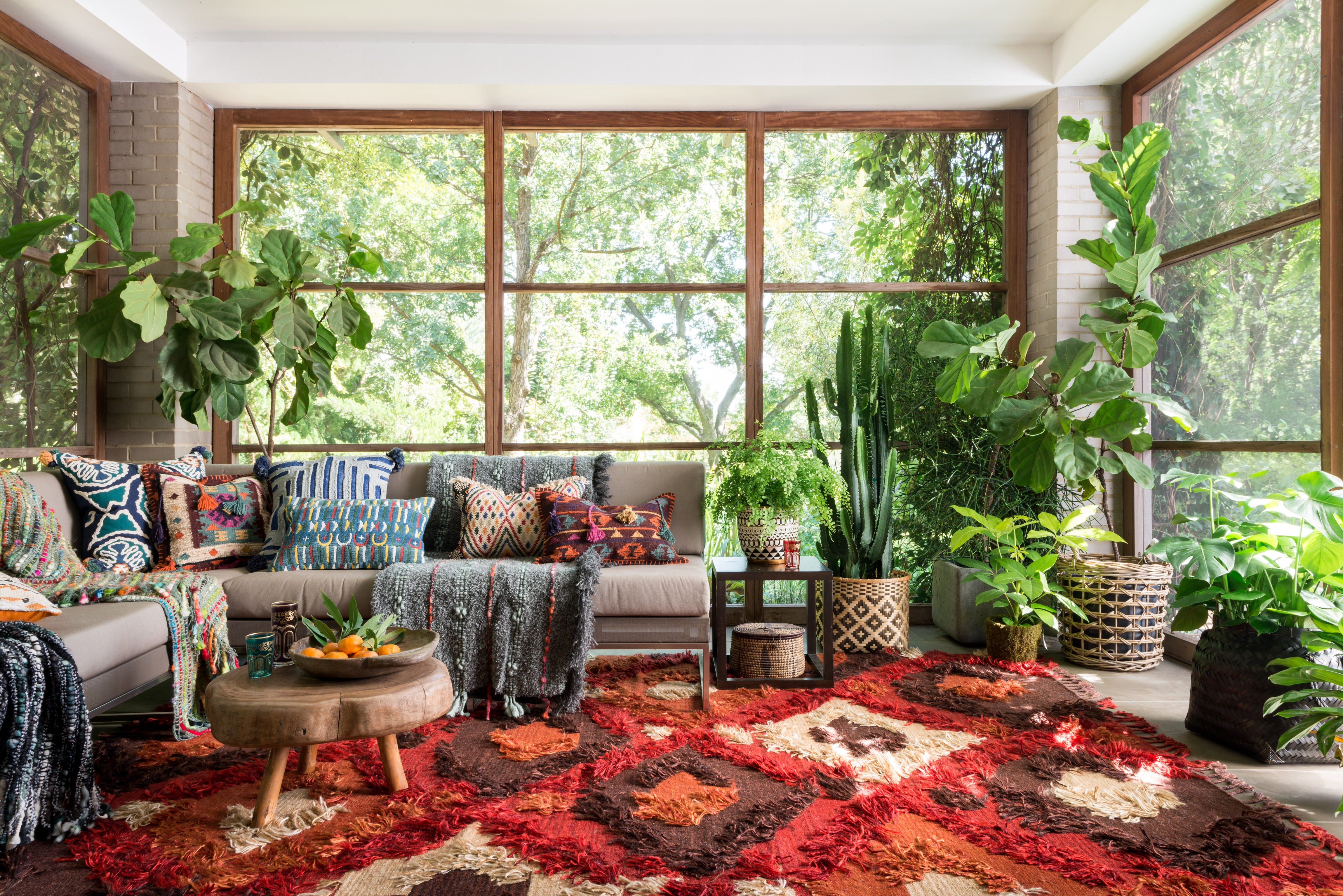 a red and brown diamond patterned shag rug is on the floor with greenery and floor to ceiling windows on three walls. There is a modern grey couch with bohemian textural pillows and blankets. 