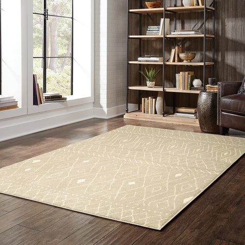 White walled room with wide windows lets in natural light on a beige patterned rug and a black metal and wood bookcase