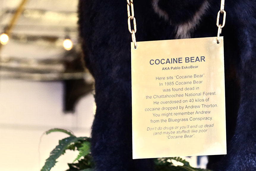 Cocaine Bear Plaque
