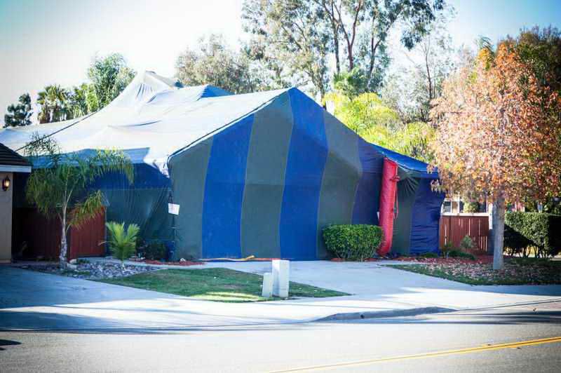 Fumigation Tent