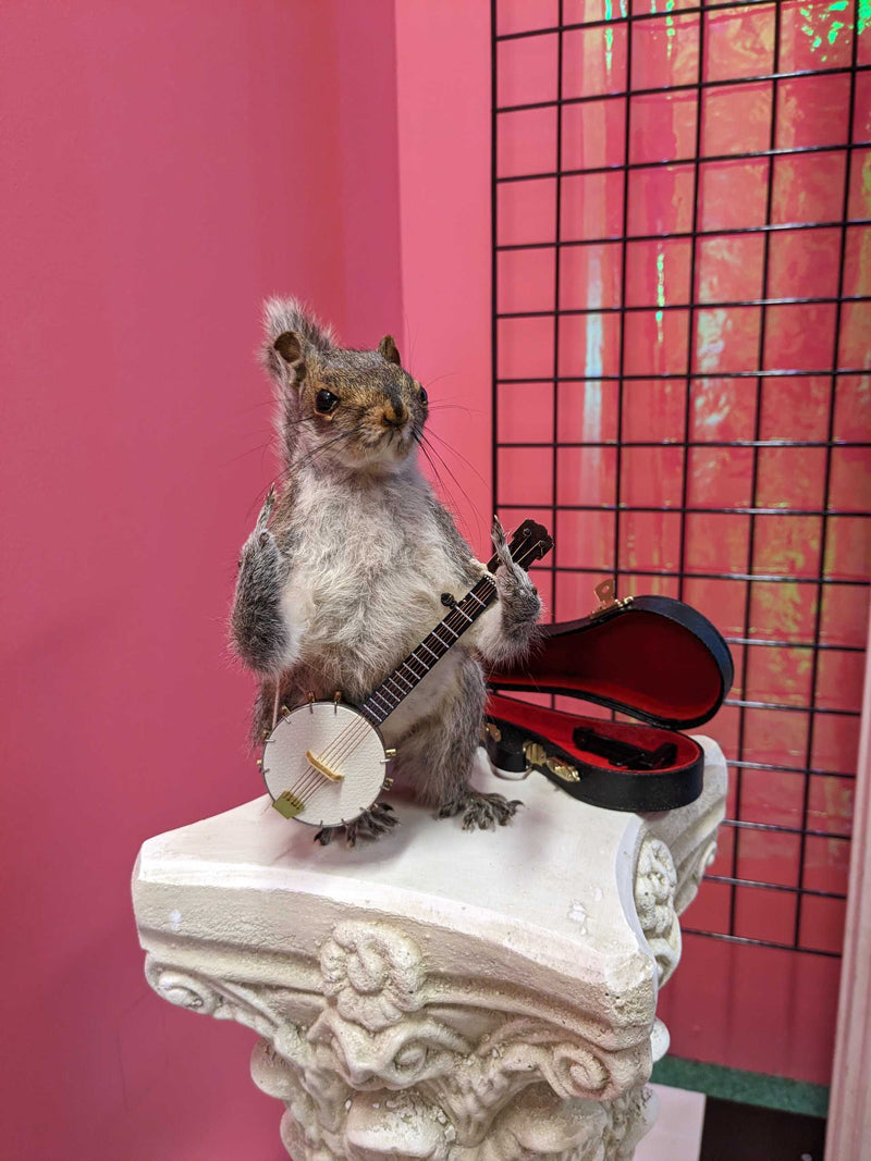 Little Tom Fuckery Banjo Squirrel