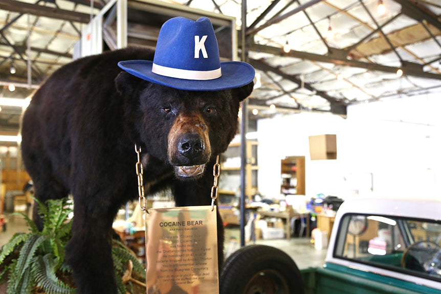 Meet Our New Mascot: Cocaine Bear - Kentucky for Kentucky – KY for KY Store