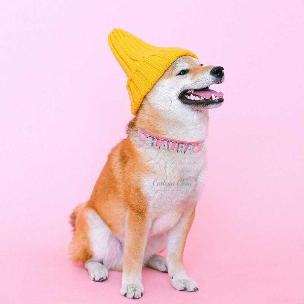 Personalisiertes Hundehalsband mit Strasssteinen, originelles Geschenk Laura