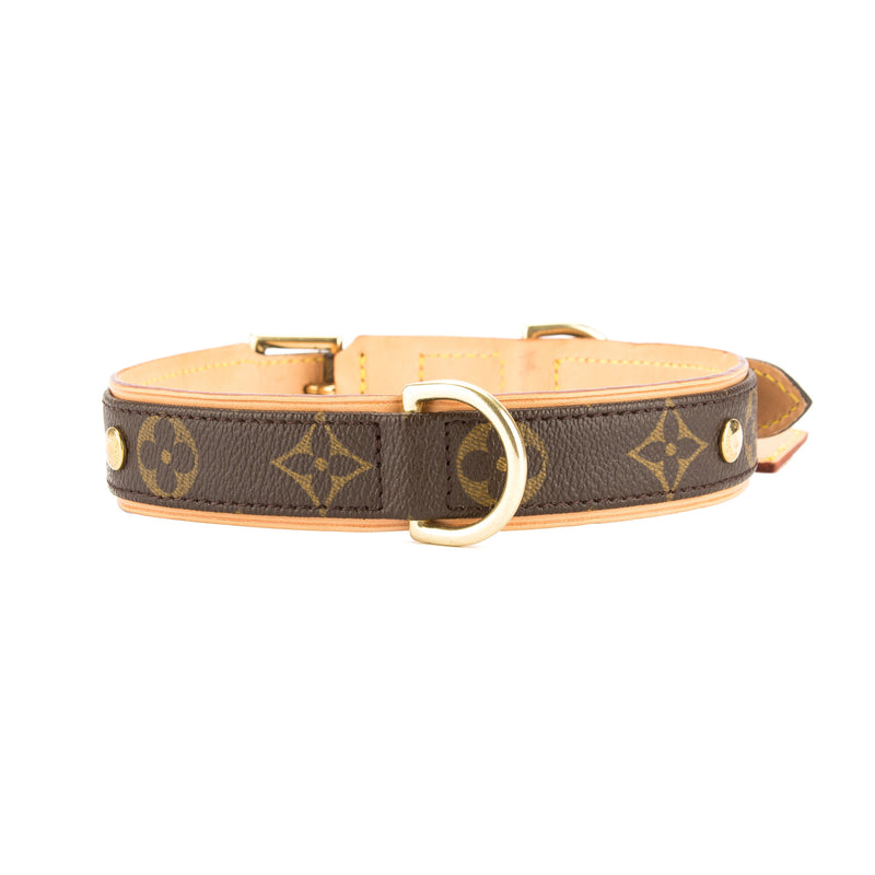 PUG & Louis Vuitton BAXTER monogram dog collar! 