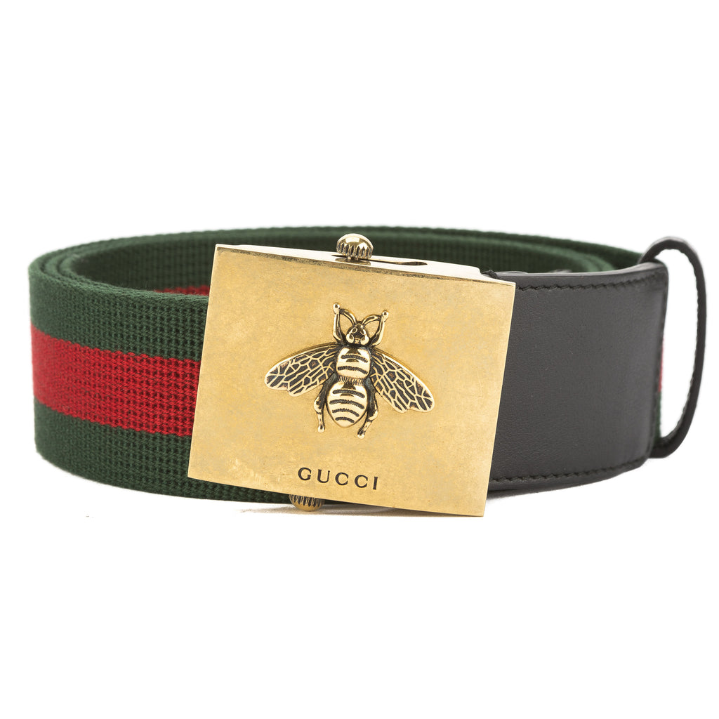 gucci bumblebee belt
