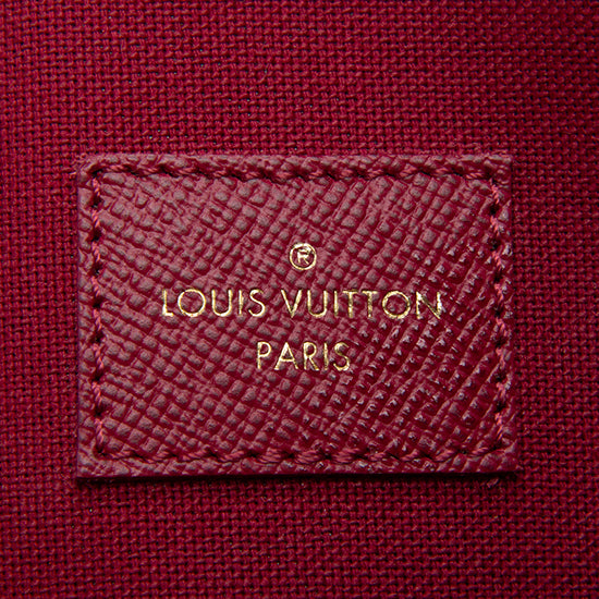 Louis Vuitton Monogram Canvas Felicie Wallet on Chain Bag – LuxeDH
